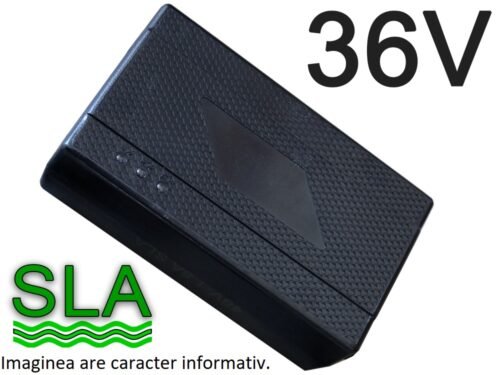 Încărcător cu conector opțional 36V 1.6A VLC600140